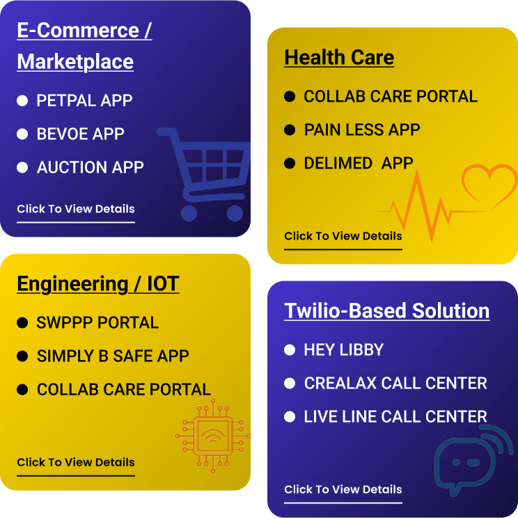Digital Sensei Technologies portfolio link